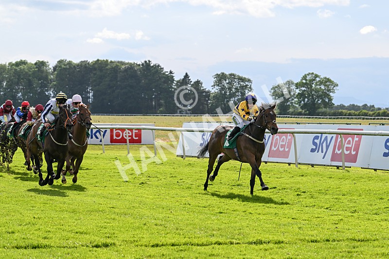 160624-Race 5-American Affair-8965 - Race 5