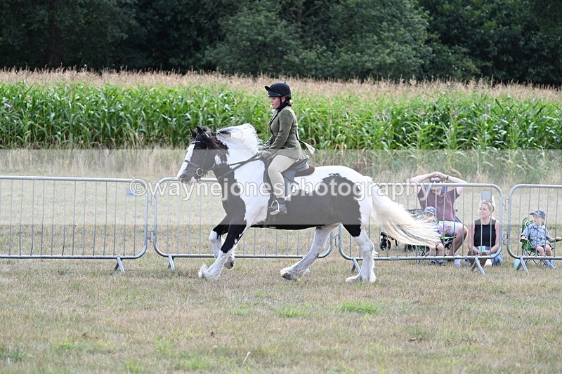 WJ7_6992 - Class 14 Ridden Coloured