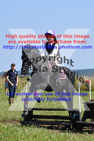 SNCP_0133 - AA Group