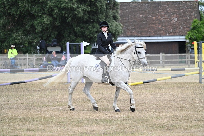 WJ7_0962 - Class 7 Riding Club Show Horse