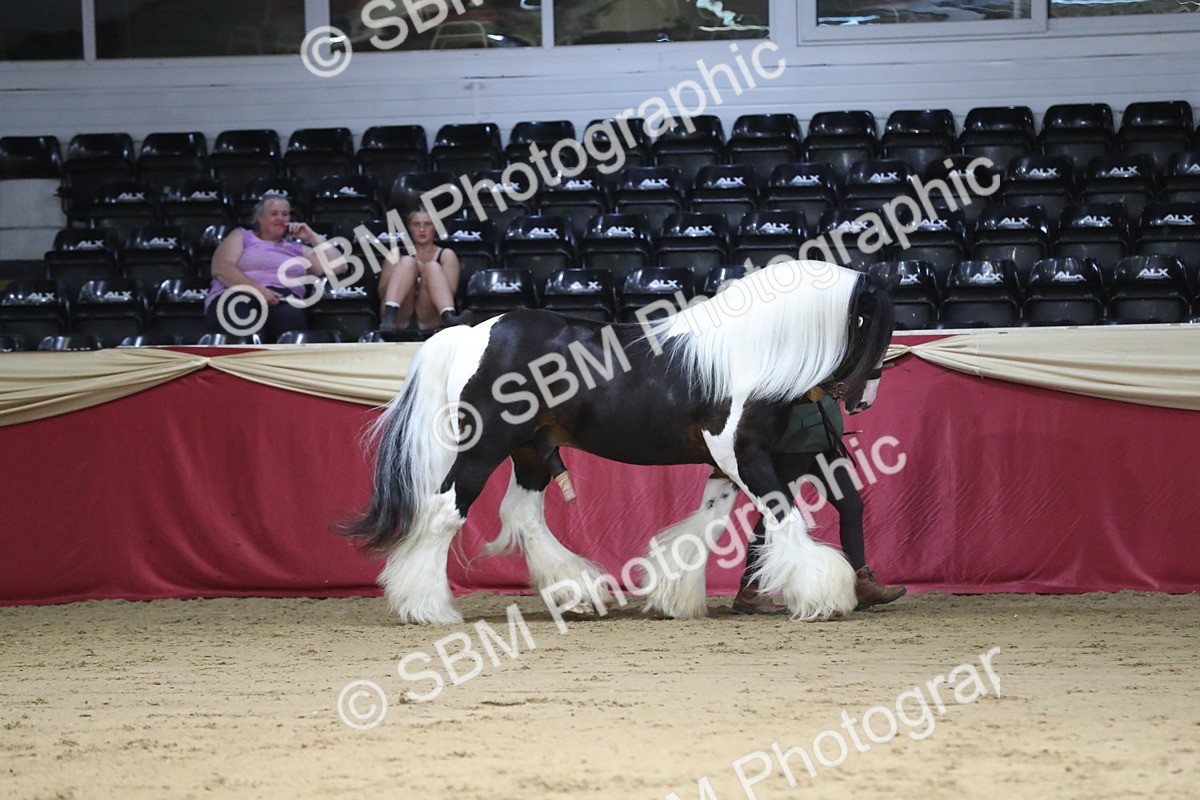 SBM_06357 - Class 9R Regional- IH Pre Vet