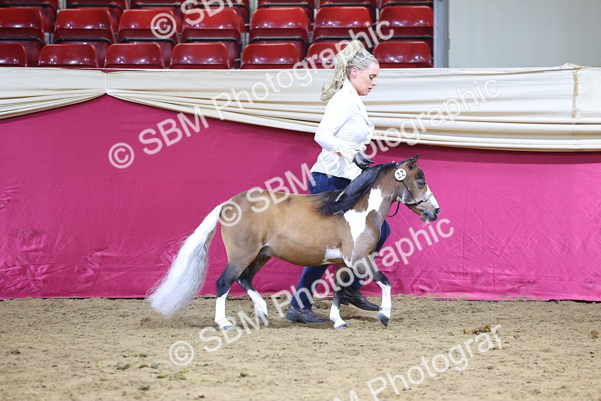 SBM_18678 - Class D IH Pony Champ