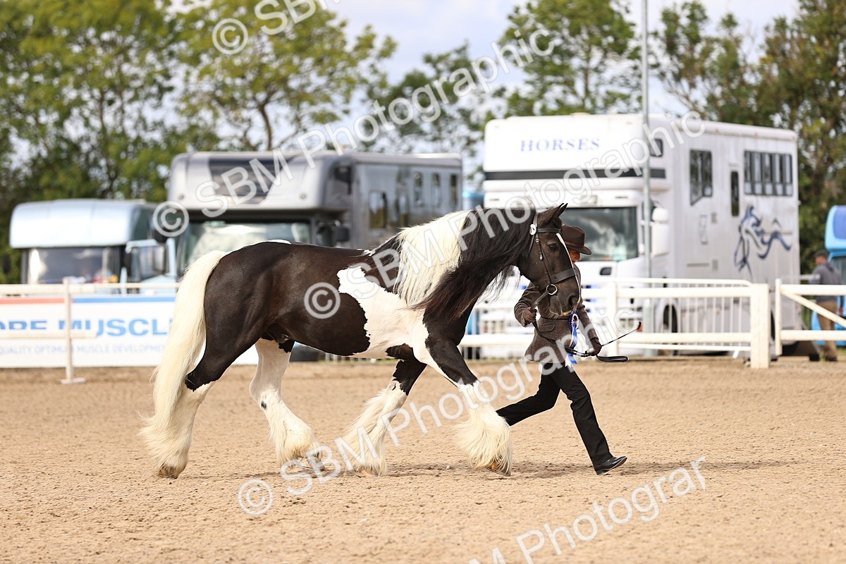 SBM_09333 - Class 404 - IH Traditional - Native Cob