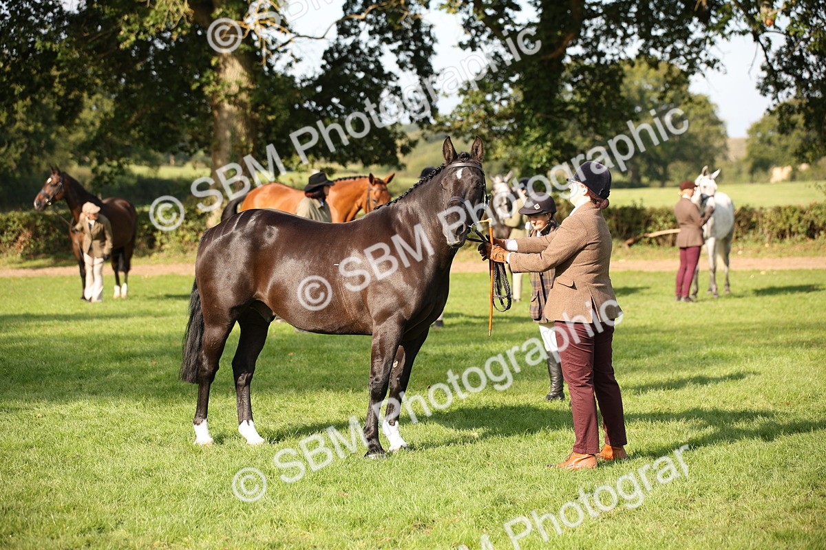 SBM_60106 - S53 - Hunter In Hand