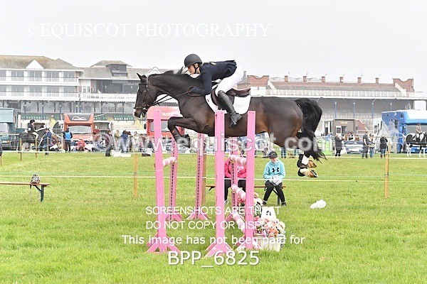 BPP_6825 - CLASS 2 RHS Classic Champ Qual (1.20m)