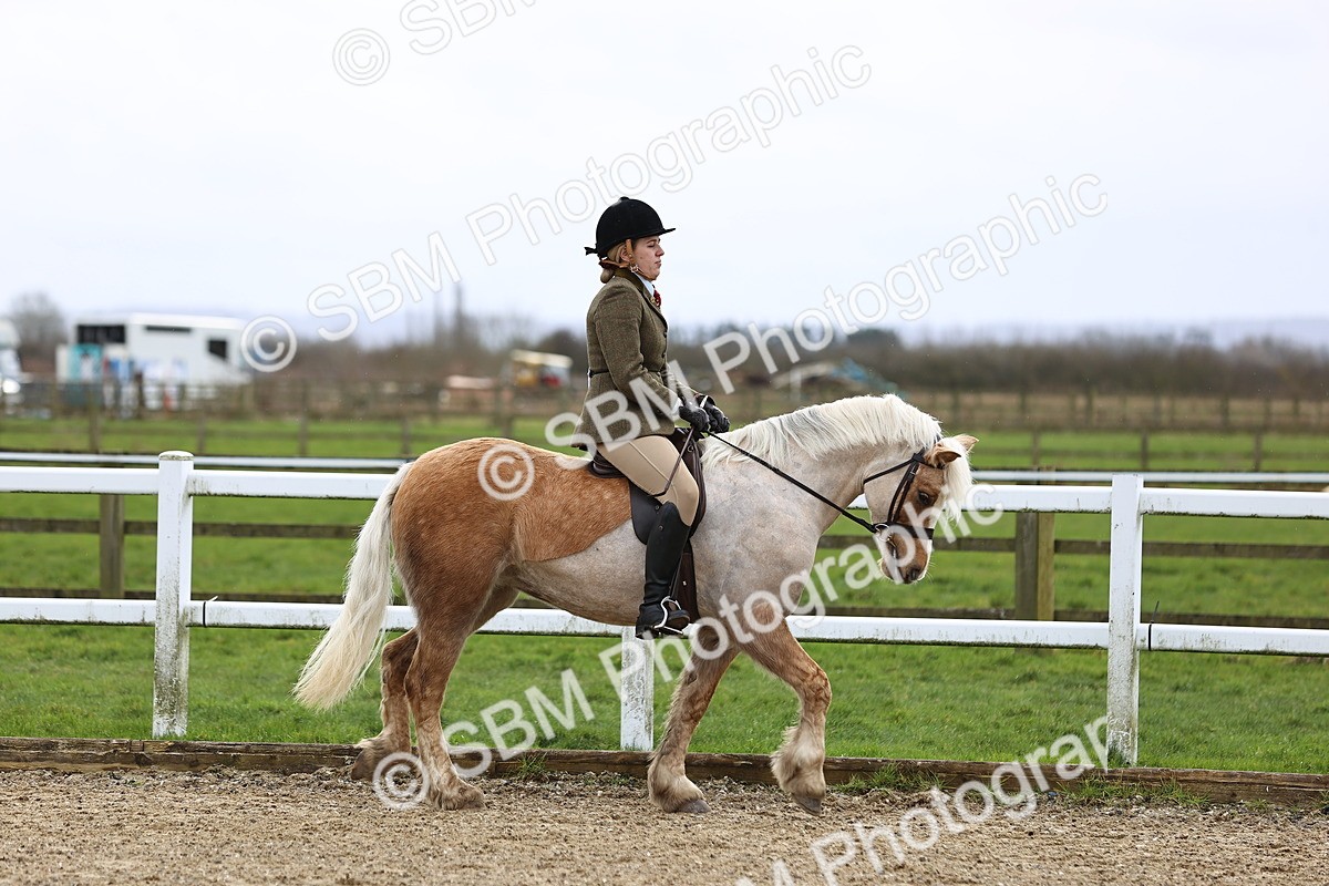 SBM_006886 - Class 29 - 30 - M&M Pure Novice Small-Large Breeds
