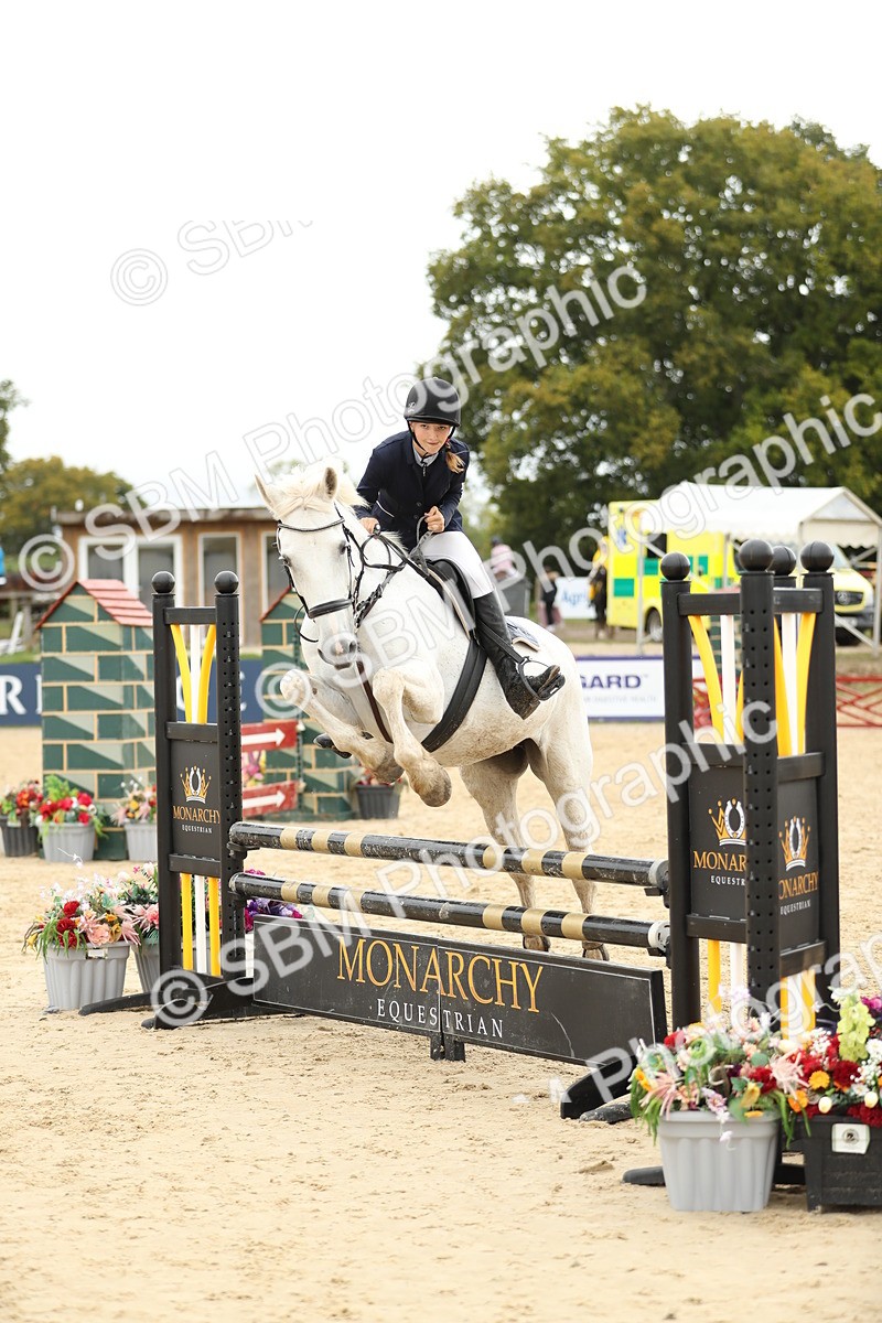 SBM_63152 - Supreme championship 75cm 80cm