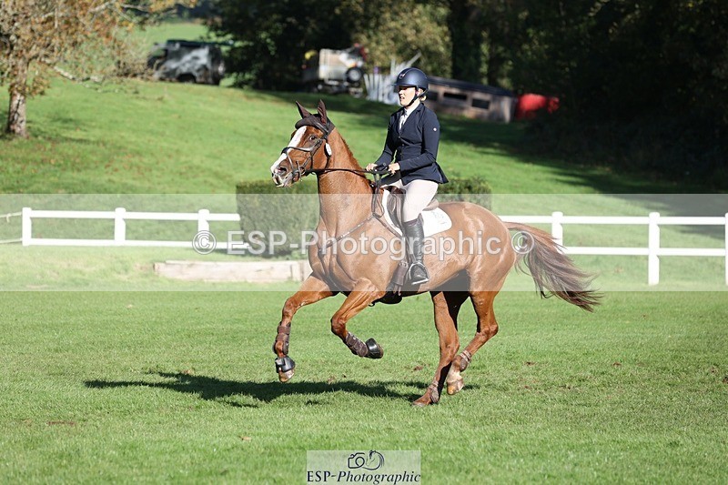 231022-110111-24894 - 663-GROOVY.GUY-Hannah.Watson-TrotUp+SJ