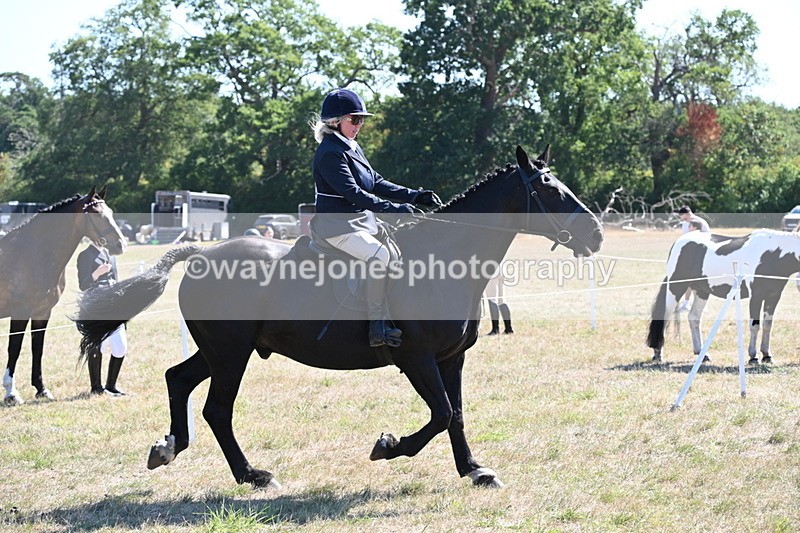 WJ6_8279 - Class 37a Best Loan Pony Ridden