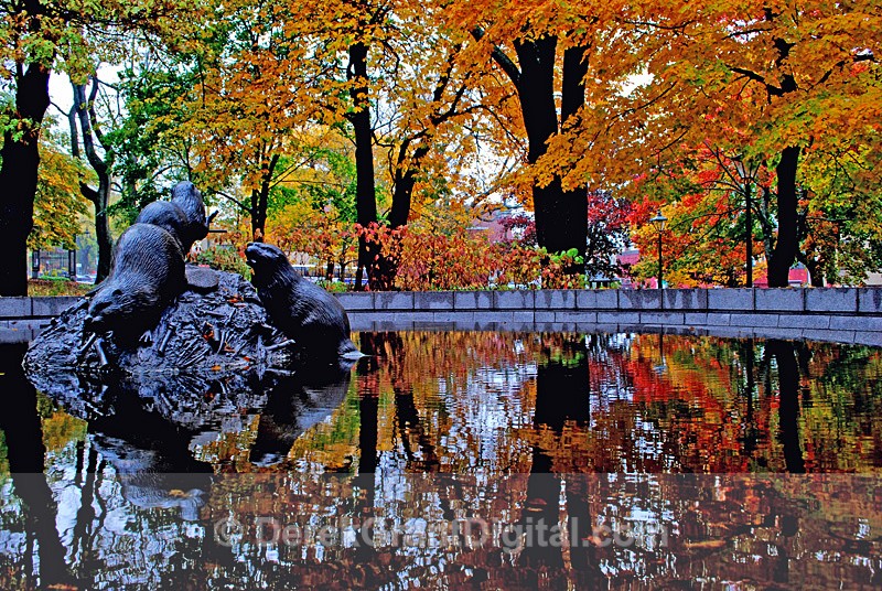 The Beaver Pond Autumn Reflections Michael Rizzello, O.B.E.