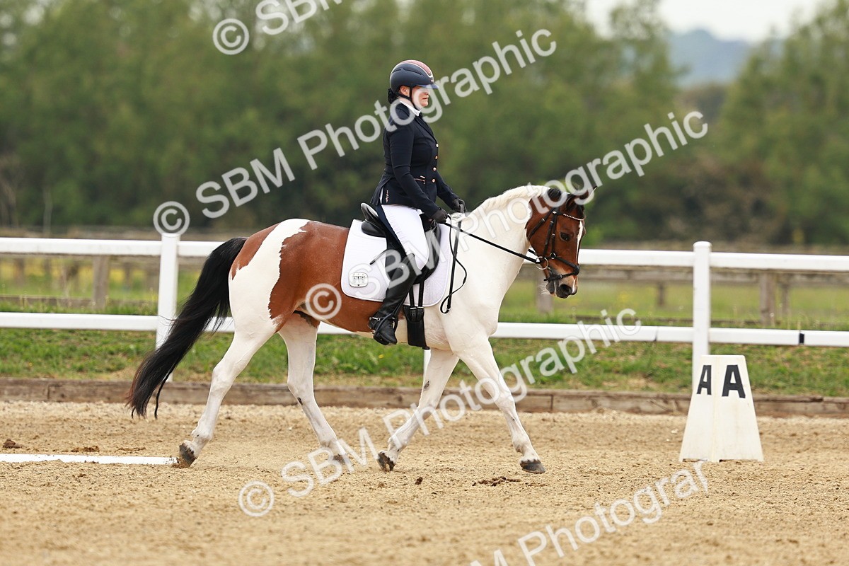 SBM_001060 - Class 6 - Novice 4