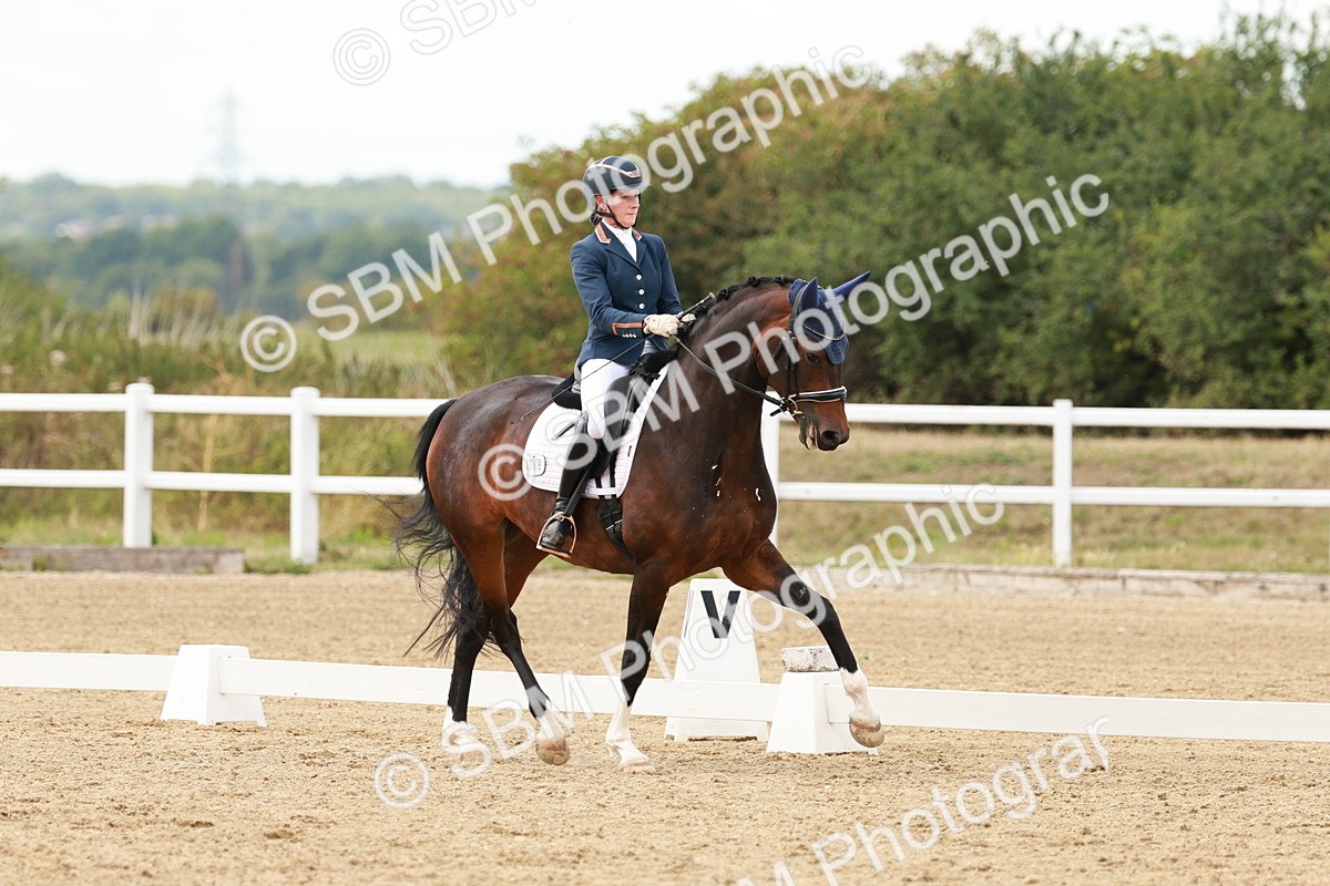 SBM_002177 - Class 11 - Medium 6