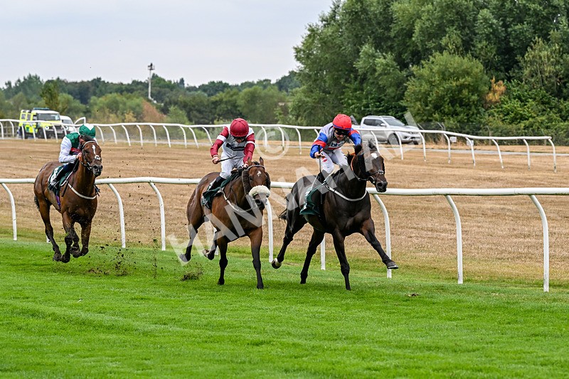 170826-Race 3-Quercus-9349 - Race 3 15.15pm Chapman Milestones Celebration, Thank You NHS Handicap