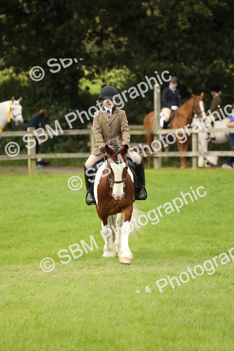 SBM_71706 - S41 - Ridden Equitation (Best Rider)