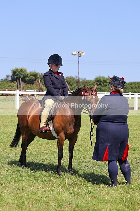 IMG_2185 - Class 36: Part Bred Ridden M & M