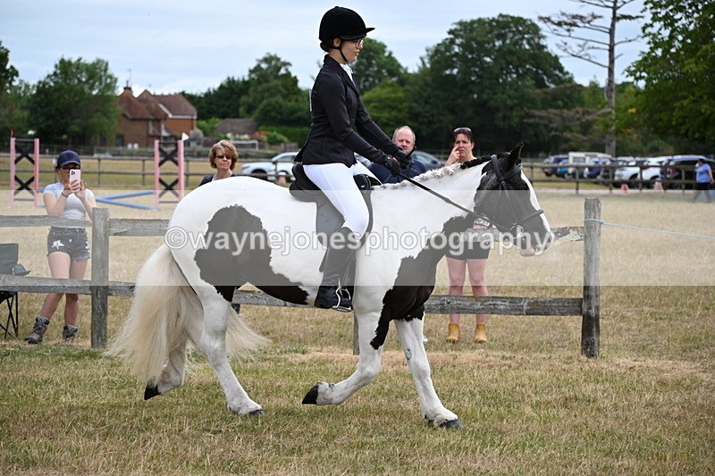 WJ6_3917 - Class 9 Tack & Turnout