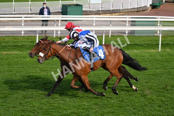 yr13052021r7-26 - Race 7 4.50pm Autohorn Stakes