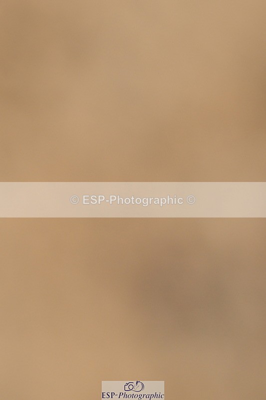 251004A-135128-01353 - Classes 6 & 7 60cm