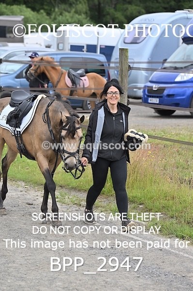 BPP_2947 - CLASS 7 Pony Discovery / 90cm Open