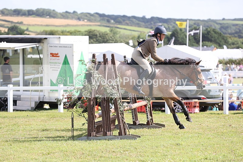 JPP_2666 - Class 20: Working Hunter 70cm