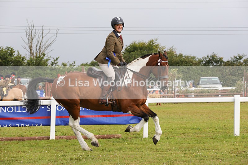 1X9A2962 - Class 25: Ridden Plaited Coloured Horse