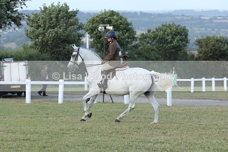 JPP_3698 - Class 24: Open Working Hunter