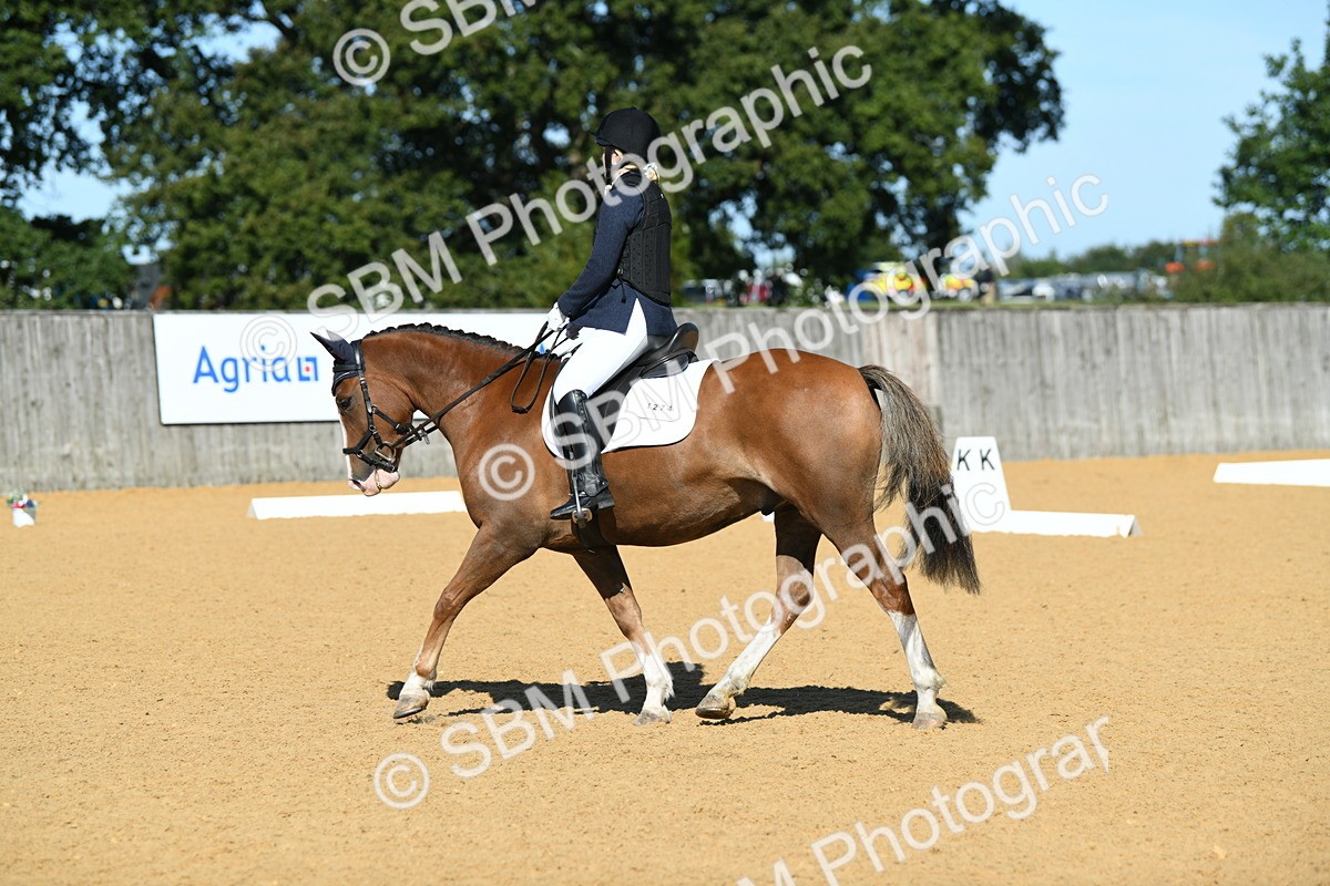 SBM_18143 - D4 - Small Tour Championship - Intro B