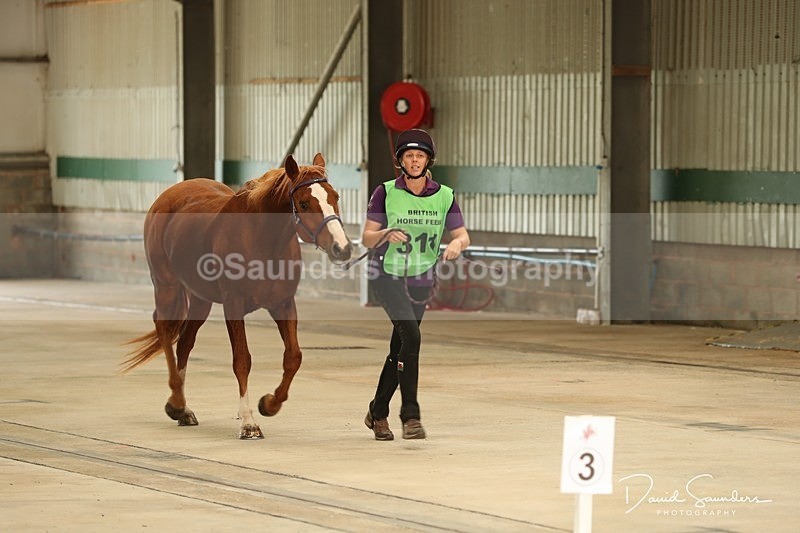SPXX3562 - Vetting
