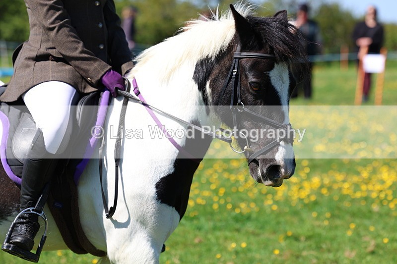 3E7A0061 - Class 4: Best Combination Junior