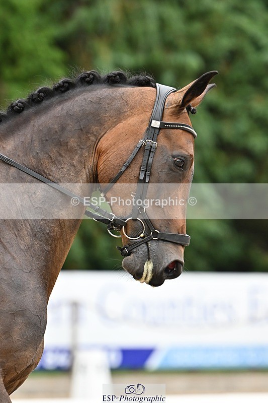 240811-112341-05165 - 146-Anna.Johannson-Kapellmeister