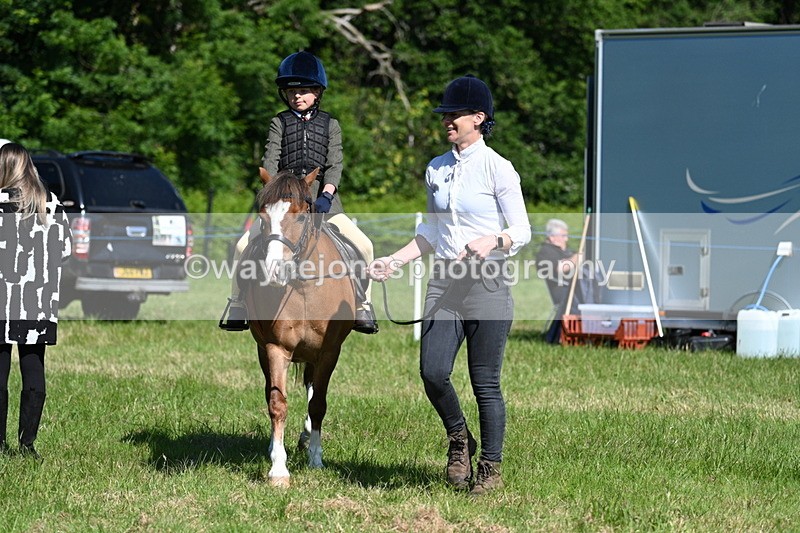 WJ7_0622 - Class 8 First Rally Pony