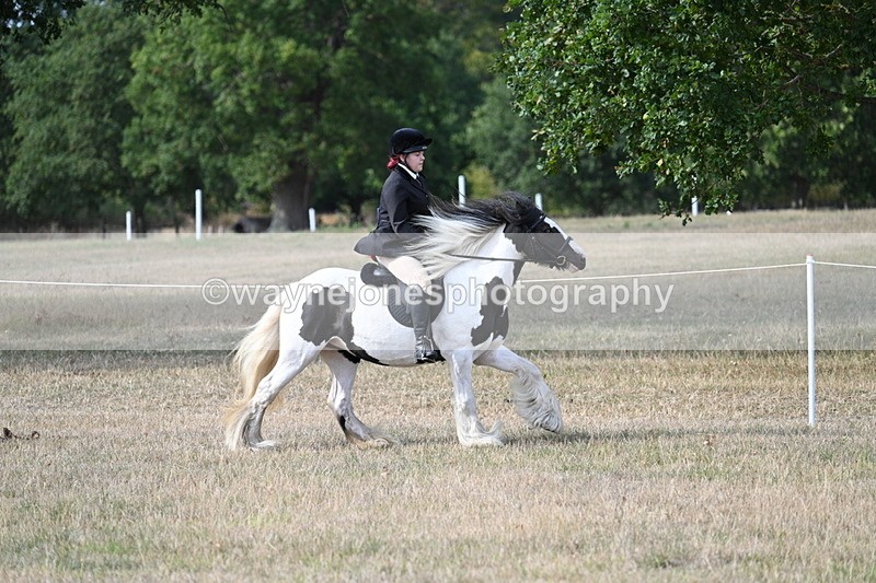 WJ7_7685 - Ridden Championship