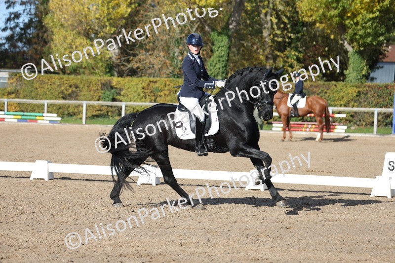 20251102-0627 - Class 4 - Novice 6