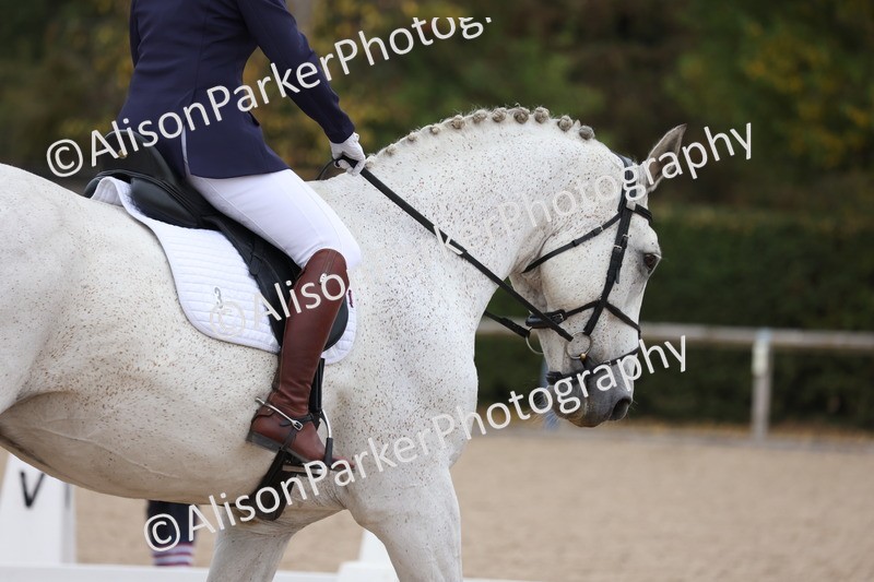 20250820-0180 - Class 9 - My Quest Prelim 3