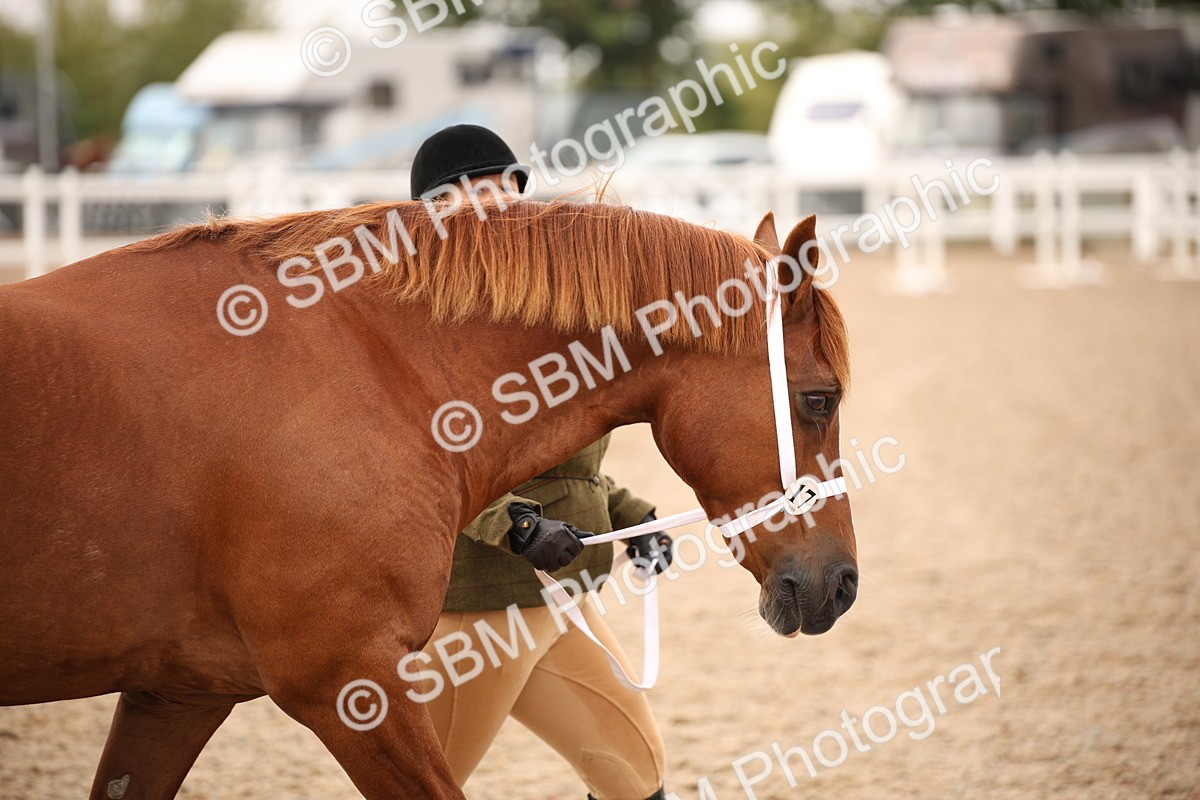 SBM_21518 - Class 706 - IH  Veteran