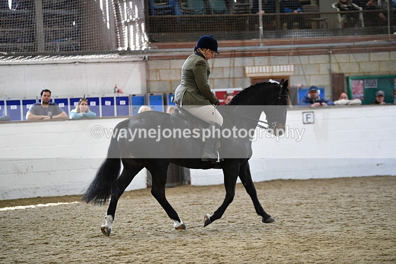 WJ5_6081 - Class 9 Ridden Veteran