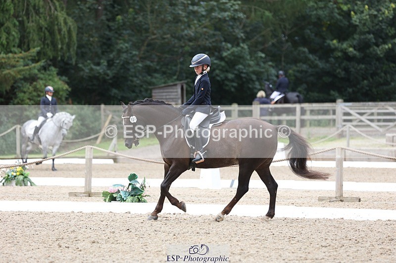 230812-103715-03281 - Cls 5 Novice Bronze Start to 10.55 break