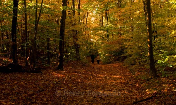  - Fall
