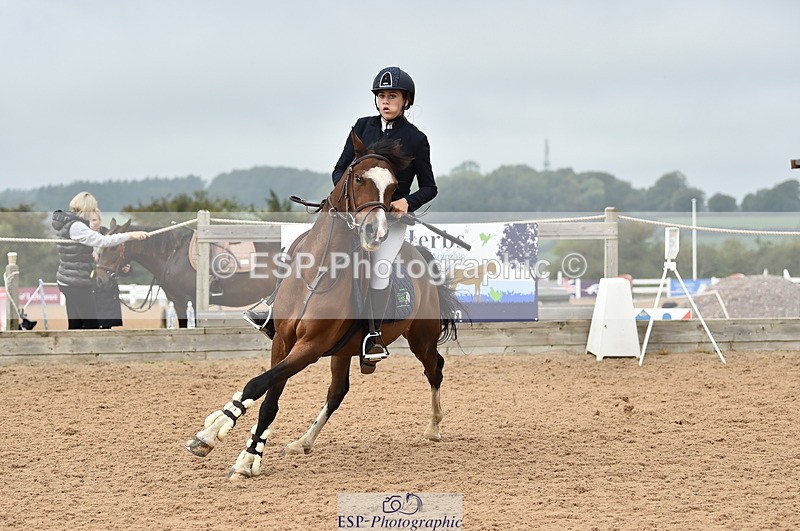 230902A-112754-00717 - Cls 2B Pony Small 80cm