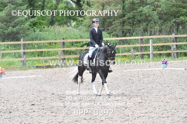 BPP_0392 - NOVICE 6
