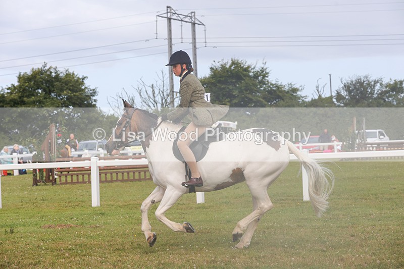 1X9A3061 - Class 26: Ridden Plaited Coloured Pony