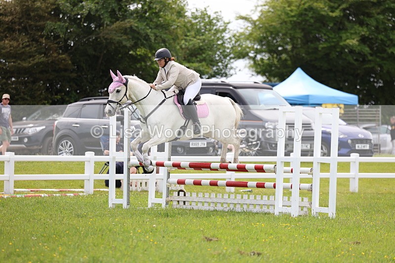 3E7A1666 - Class 13: Senior British Novice/90cm open