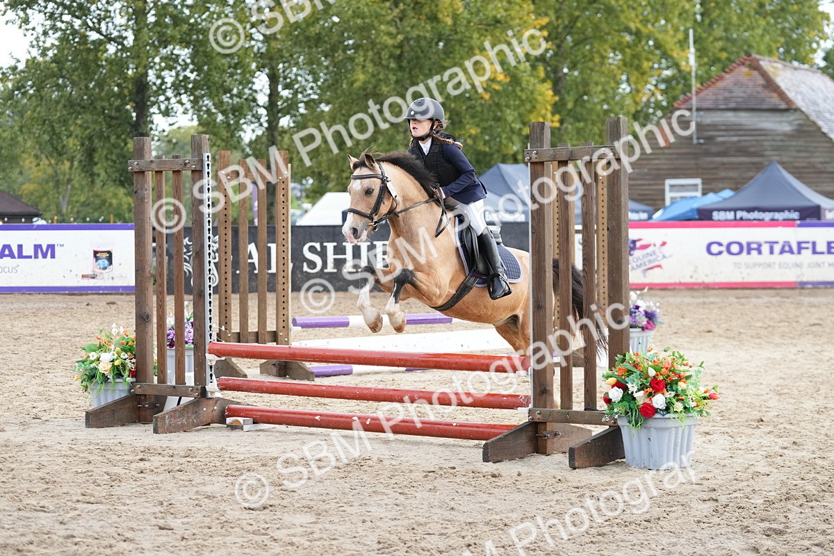 SBM_32351 - J5 - Junior Pony 50cm Championship