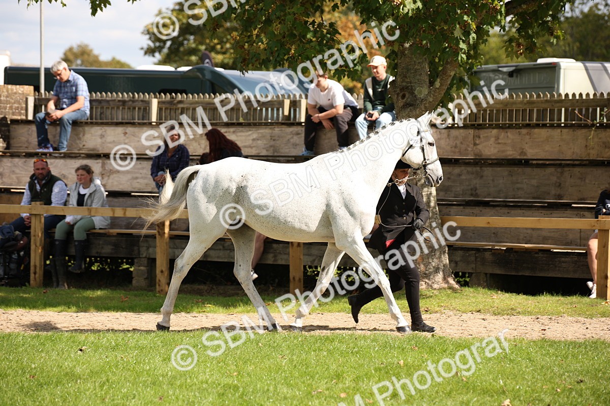SBM_44373 - S24 - Young Veteran in hand