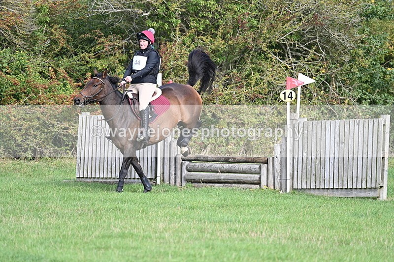 WJ7_8272 - 60cm Pairs