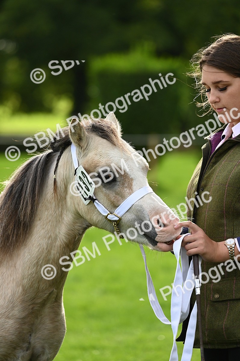 SBM_25020 - S5 - Novice & Newcomer In hand