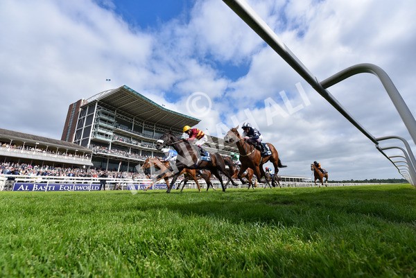 150525-Tropical Storm-2443 - Race 5 4.18pm British Stallion Studs EBF Westow Stakes
