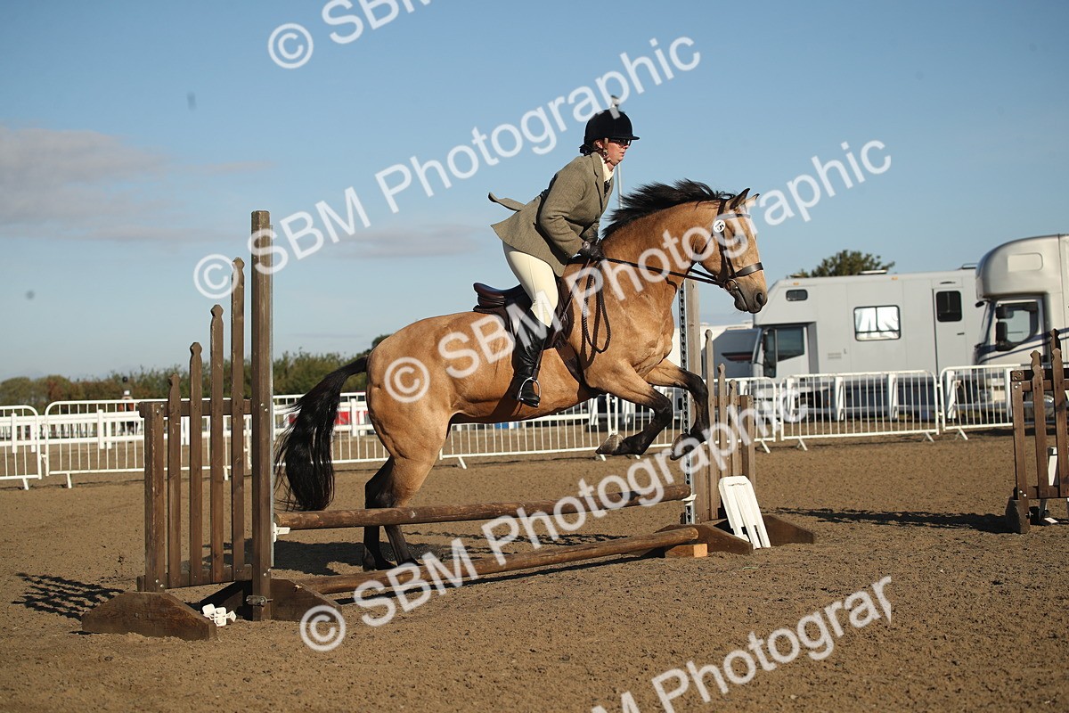 SBM_11566 - Class 502 - Riding Club Horse