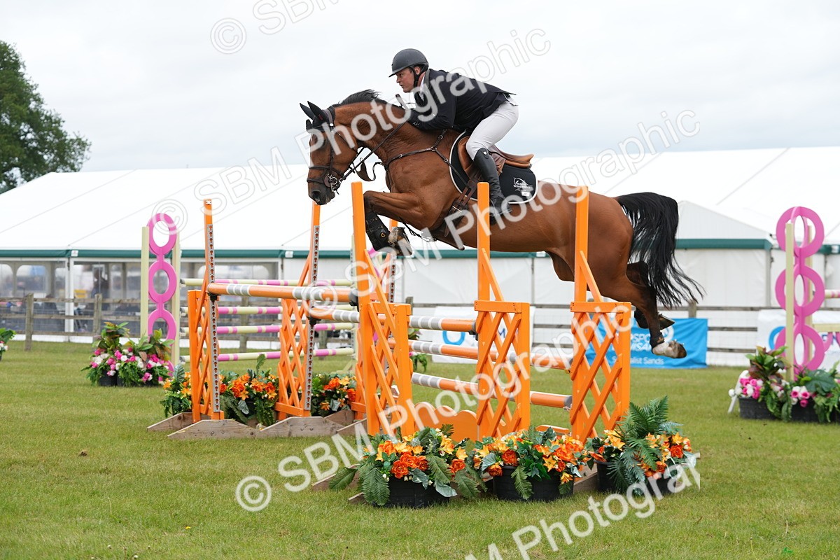 SBM_03109 - Class 201 - British Horse Feeds Speedi Beet Horse of the Year Show Grade  C