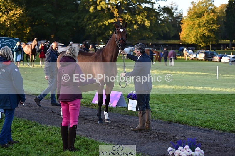 231022-083838-21271 - 683-ALVESCOT.FIVE.STAR-Mark.Ford-TrotUp+SJ